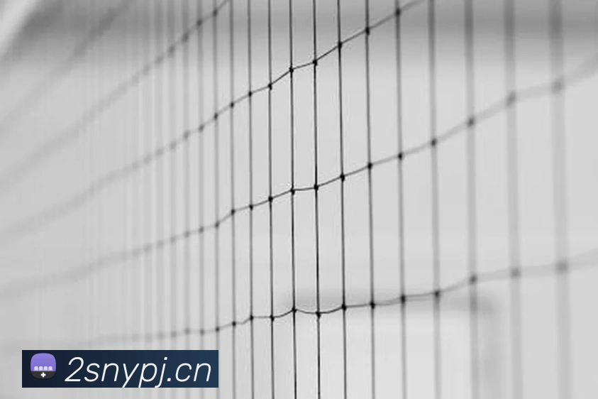 星空体育综合入口平台生态图